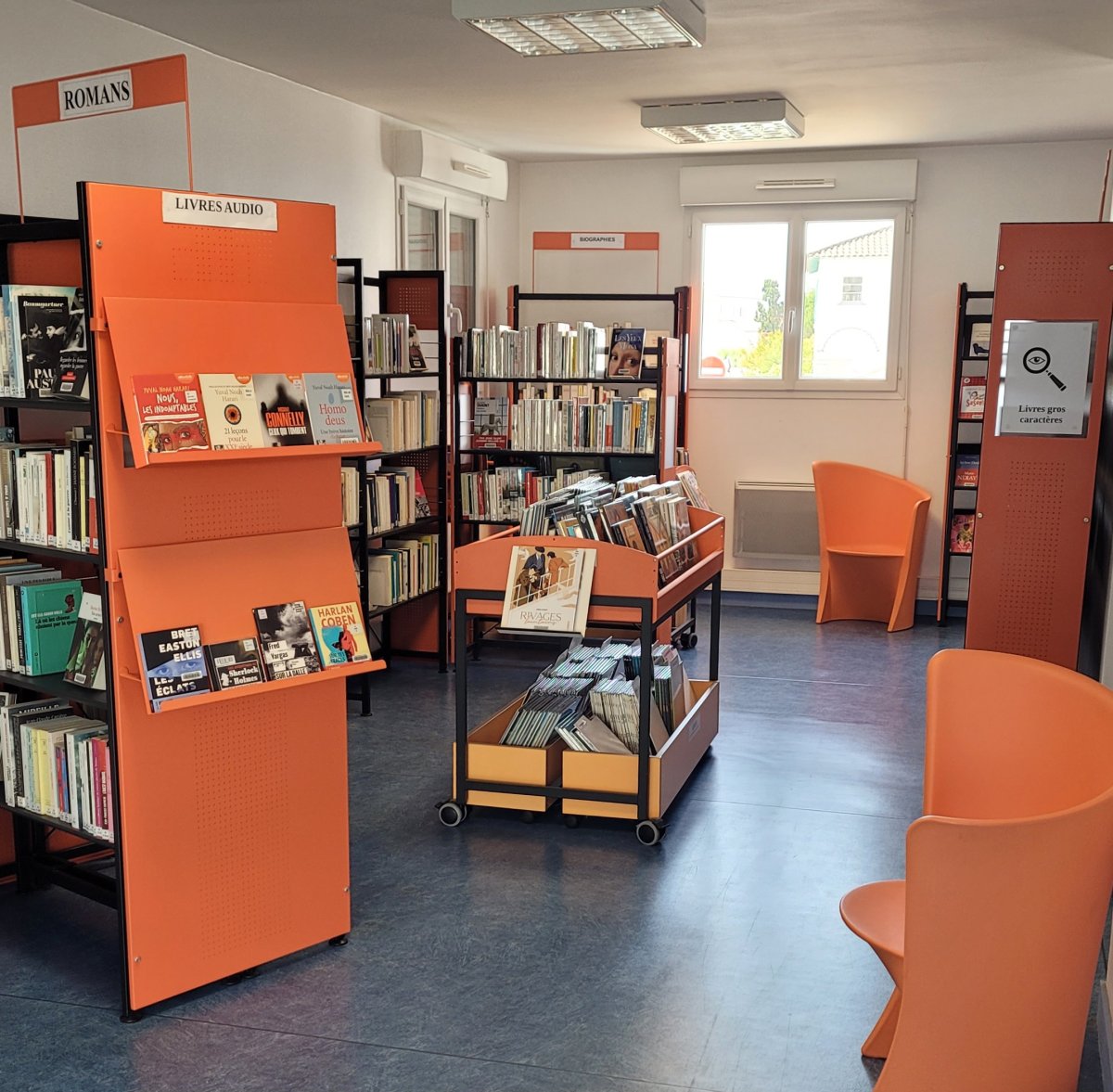 Illustration bibliothèque