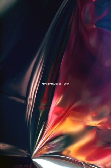 Affiche de l'exposition