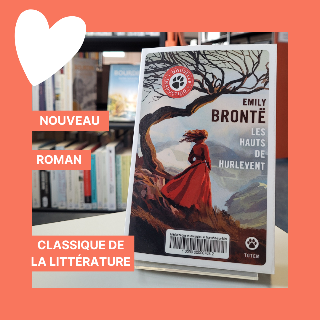 Illustration médiathèque